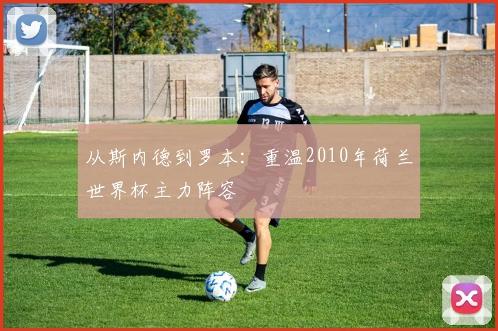 从斯内德到罗本：重温2010年荷兰世界杯主力阵容
