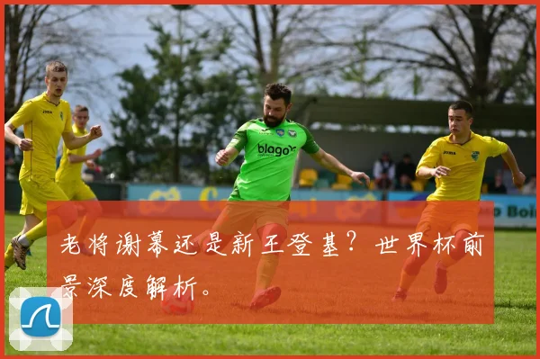 老将谢幕还是新王登基?世界杯前景深度解析。