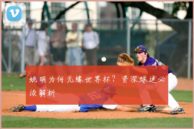 姚明为何无缘世界杯？资深球迷必读解析