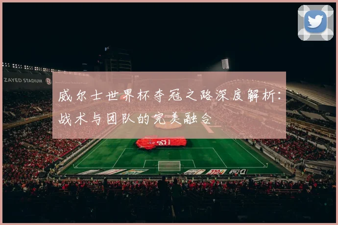 威尔士世界杯夺冠之路深度解析：战术与团队的完美融合