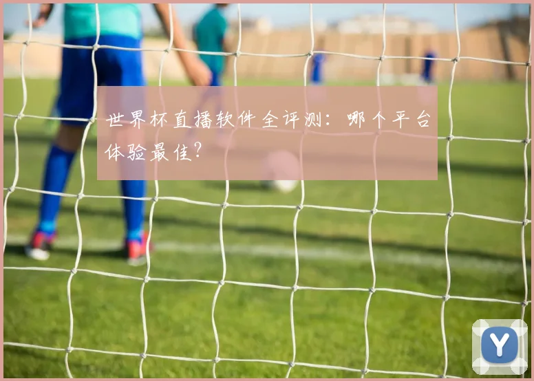 世界杯直播软件全评测:哪个平台体验最佳?