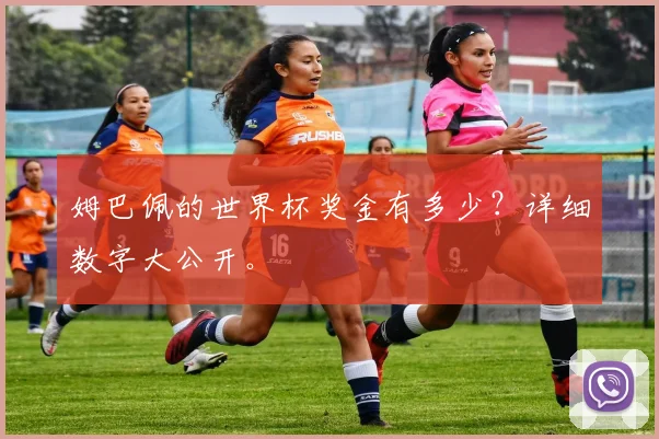 姆巴佩的世界杯奖金有多少？详细数字大公开。