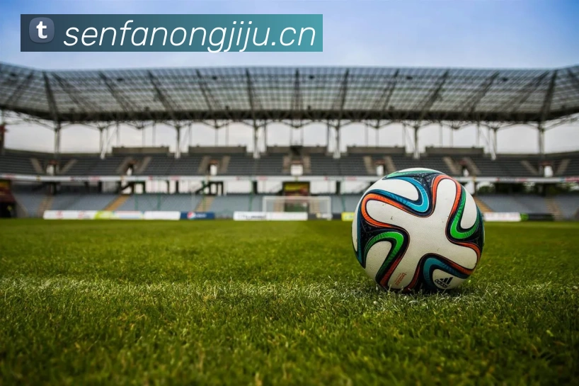 mksports网站APP 封面图